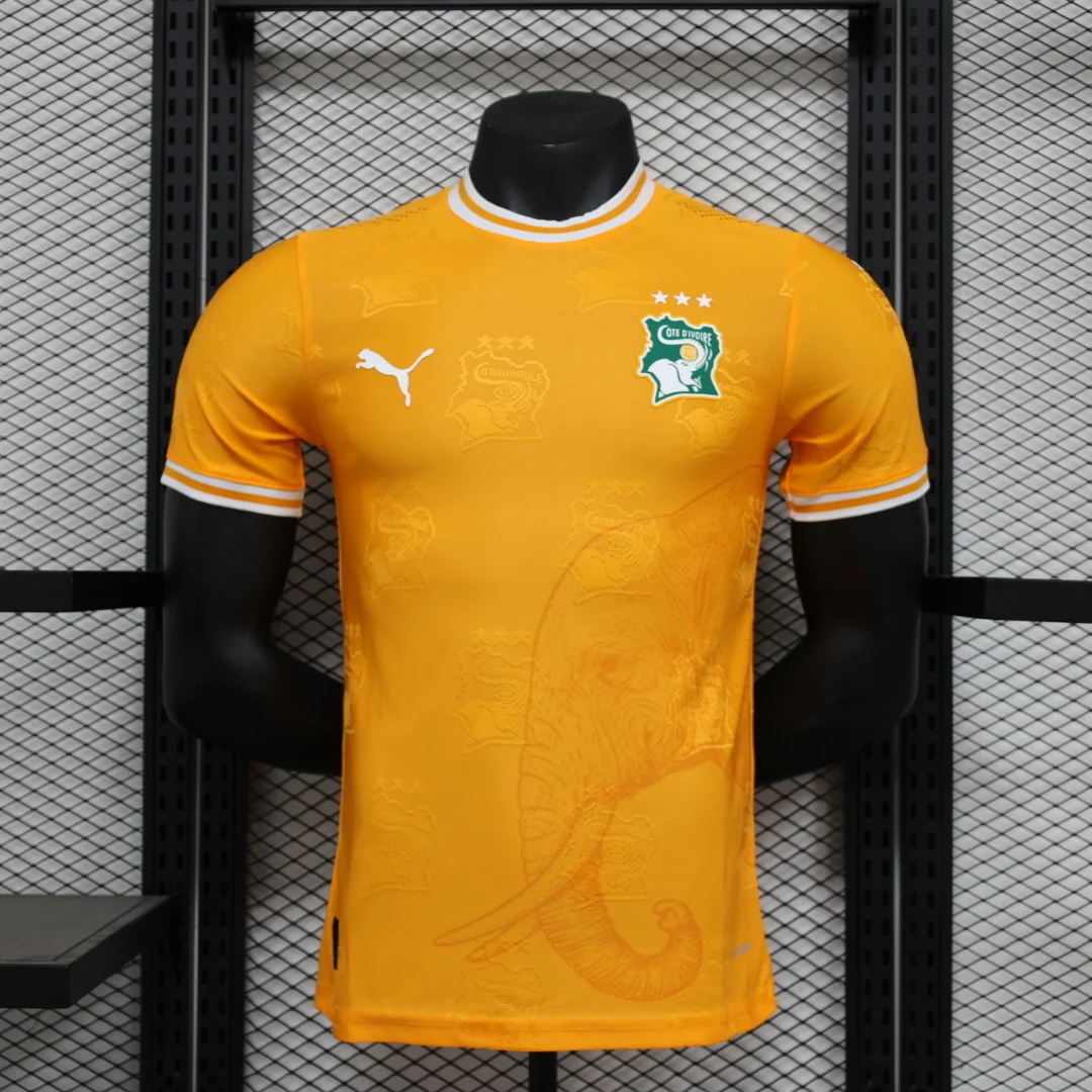 2024 Player Version Ivory Coast Special Edition Football Shirt