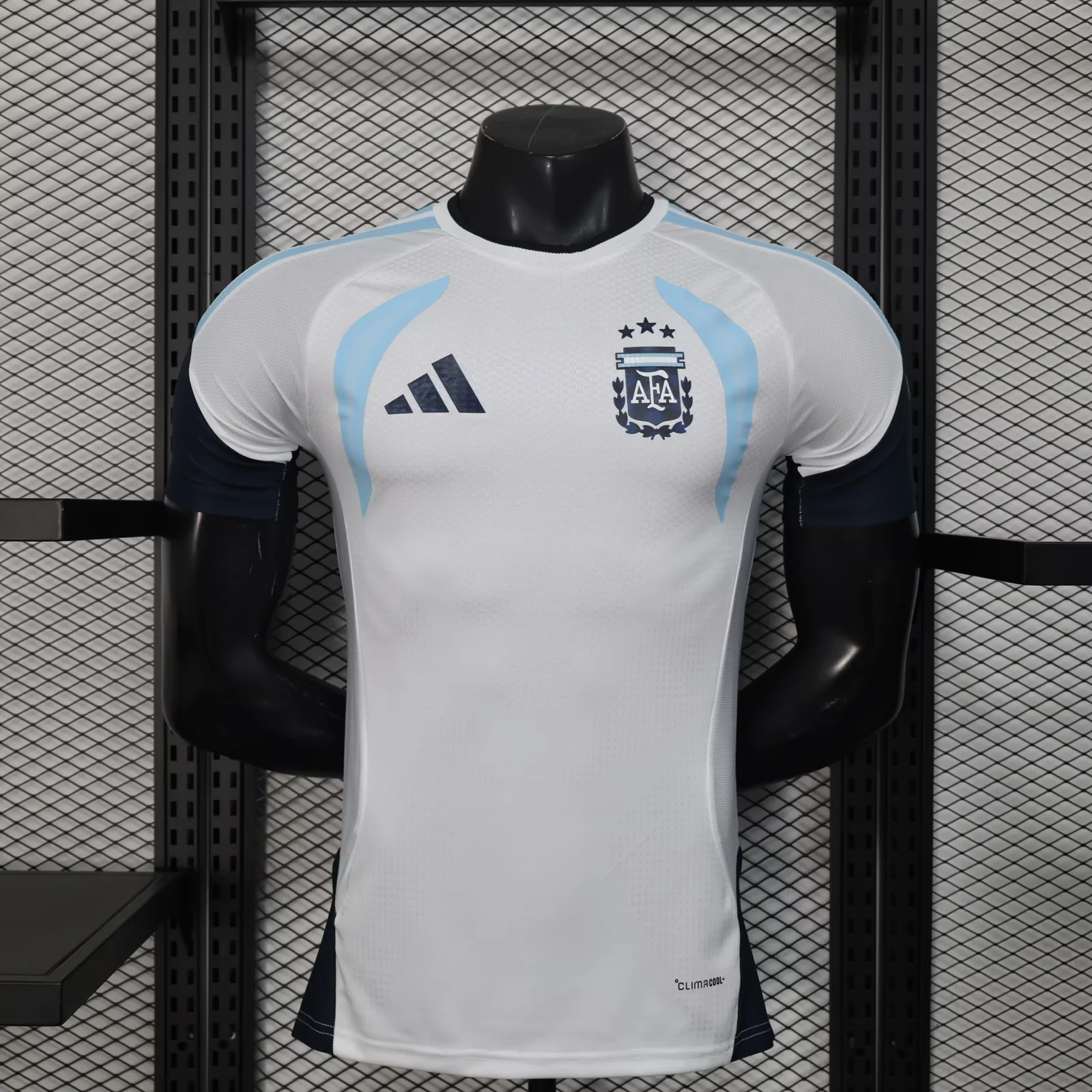 2026 Player Version Argentina Training Wear Football Shirt